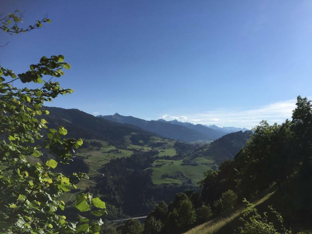 Biobergbauernhof Bergzeit Apartment In Goldegg Bagian luar foto