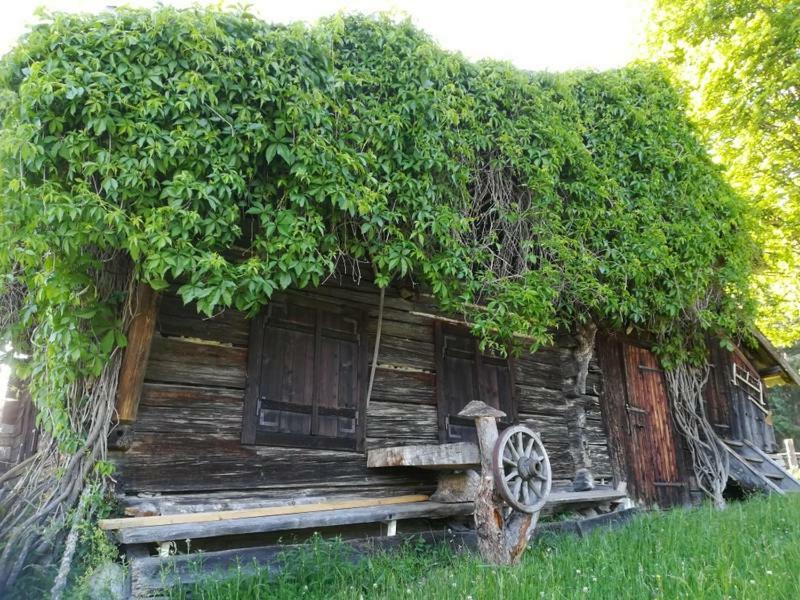 Biobergbauernhof Bergzeit Apartment In Goldegg Bagian luar foto